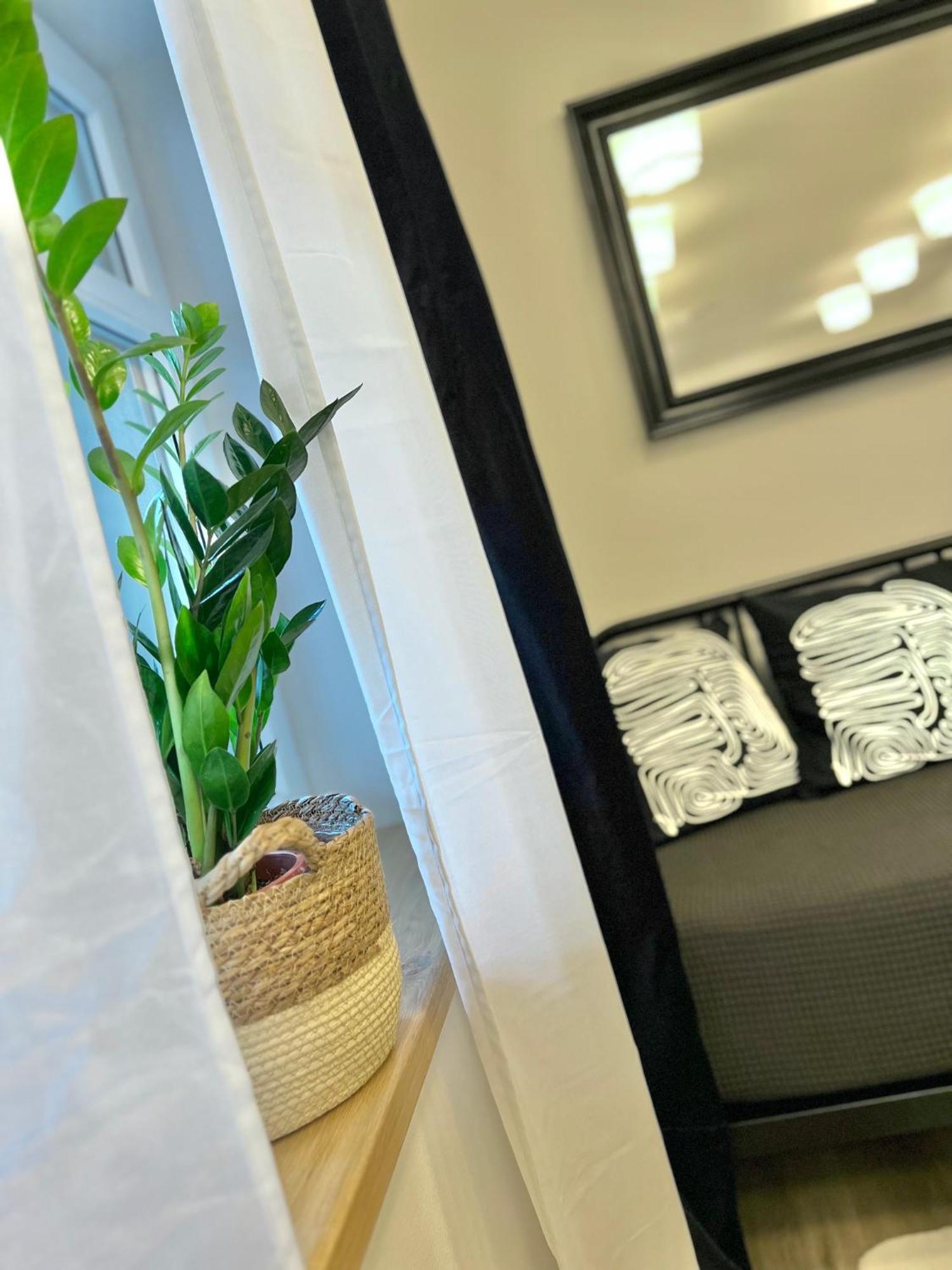 Apartmany Benesov Benesov nad Ploucnici 외부 사진