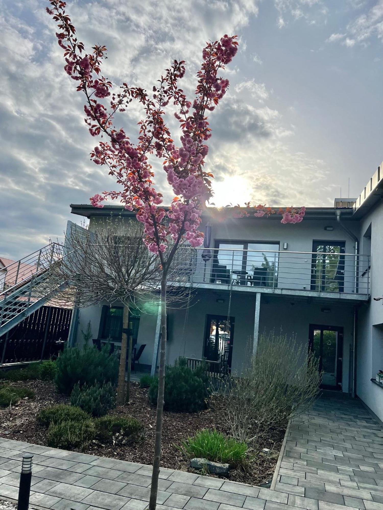 Apartmany Benesov Benesov nad Ploucnici 외부 사진