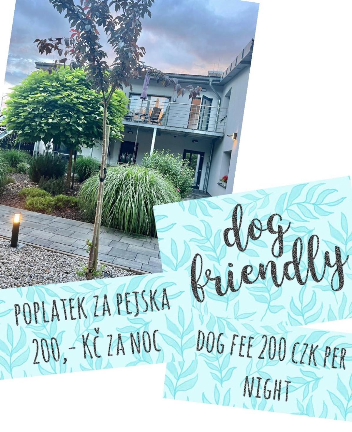 Apartmany Benesov Benesov nad Ploucnici 외부 사진